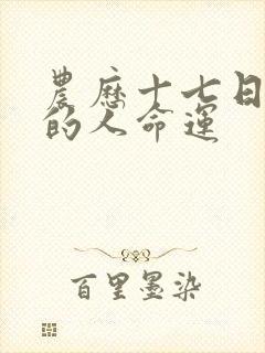 农历十七日出生的人命运