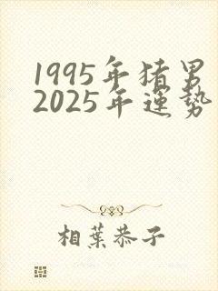 1995年猪男2025年运势
