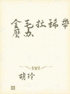 金毛拉稀带血怎么办封面