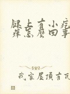 腿上有小疙瘩很痒怎么回事