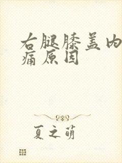 右腿膝盖内侧疼痛原因封面