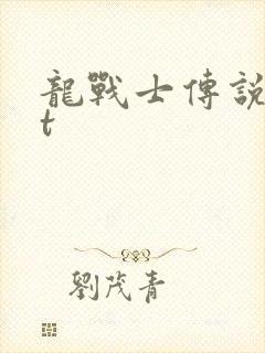 龙战士传说txt封面