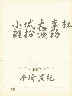 小城大事杜涛是谁扮演的