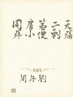 同房第二天小腹疼小便刺痛