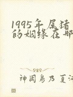 1995年属猪的姻缘在哪年封面