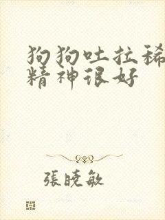 狗狗吐拉稀但是精神很好封面