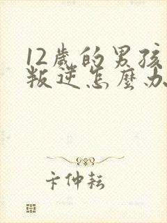 12岁的男孩太叛逆怎么办封面