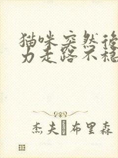 猫咪突然后腿无力走路不稳