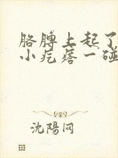 胳膊上起了好多小疙瘩一碰特痒