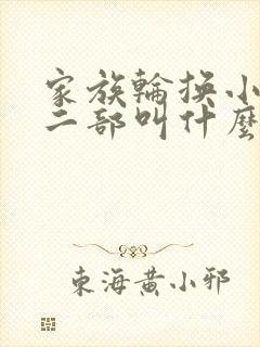 家族轮换小说第二部叫什么名字