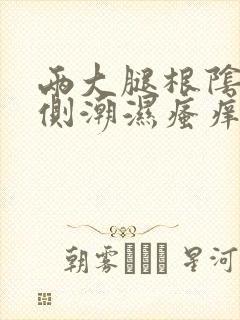 两大腿根阴囊两侧潮湿瘙痒