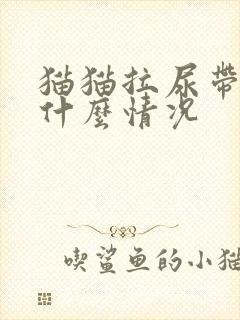 猫猫拉尿带血是什么情况