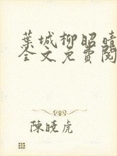 叶城柳昭晴小说全文免费阅读