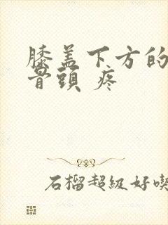 膝盖下方的凸起骨头 疼