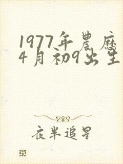 1977年农历4月初9出生的命运如何