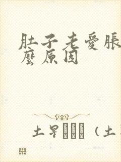 肚子老爱胀气什么原因