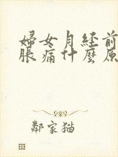 妇女月经前乳房胀痛什么原因引起的封面