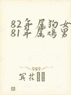82年属狗女和81年属鸡男婚姻