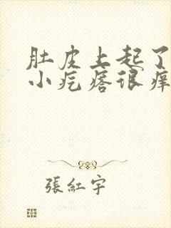 肚皮上起了很多小疙瘩很痒封面