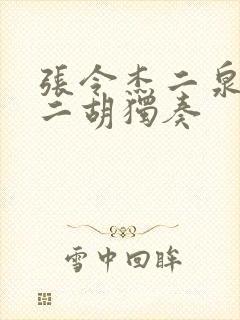 张令杰二泉映月二胡独奏