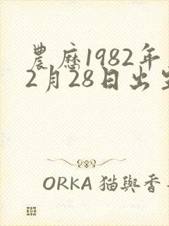 农历1982年2月28日出生的人命运