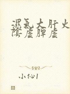 湿气大肝火旺肾阴虚脾虚