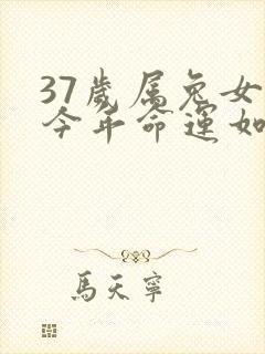 37岁属兔女人今年命运如何