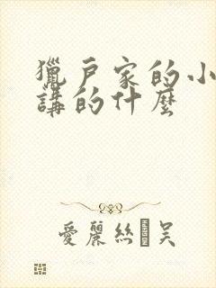 猎户家的小娘子讲的什么