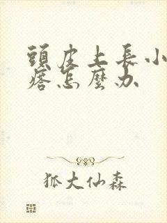 头皮上长小红疙瘩怎么办