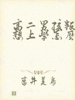 高二男孩叛逆不想上学怎么办啊