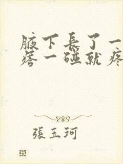 腋下长了一个疙瘩一碰就疼封面