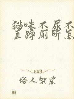 猫咪不尿不拉一直蹲厕所怎么办