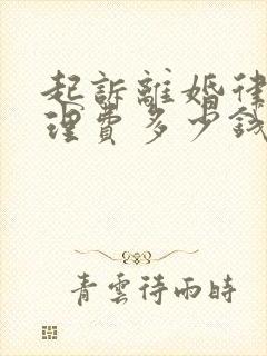 起诉离婚律师代理费多少钱