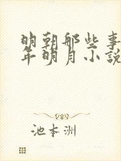 明朝那些事儿当年明月小说最新更新