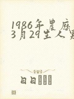 1986年农历3月29生人男命运