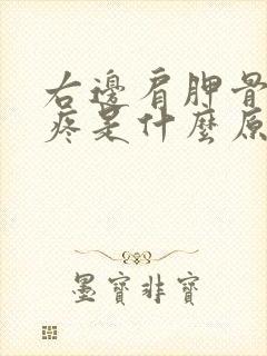 右边肩胛骨后背疼是什么原因引起的