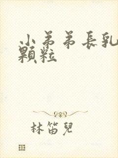 小弟弟长乳头状颗粒