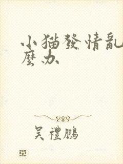 小猫发情乱尿怎么办