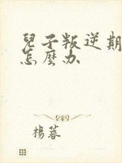 儿子叛逆期家长怎么办封面