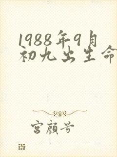 1988年9月初九出生命运