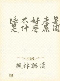 睡不好老是做梦是什么原因