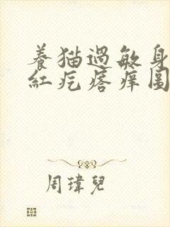 养猫过敏身上起红疙瘩痒图片封面