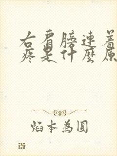 右肩膀连着锁骨疼是什么原因封面