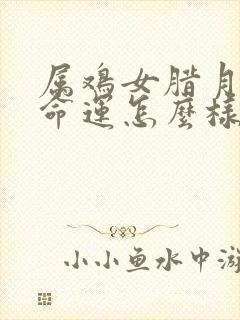 属鸡女腊月生的命运怎么样