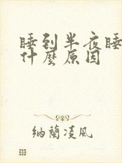 睡到半夜睡不着什么原因