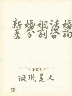 新婚姻法婚姻财产分割咨询律师