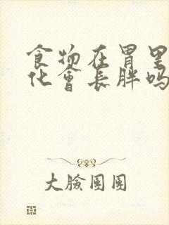 食物在胃里不消化会长胖吗