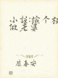 小说:捡个校花做老婆封面