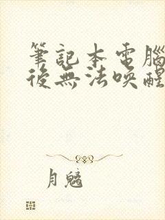 笔记本电脑息屏后无法唤醒一直黑屏