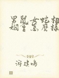 男鼠女蛇相配婚姻会怎么样